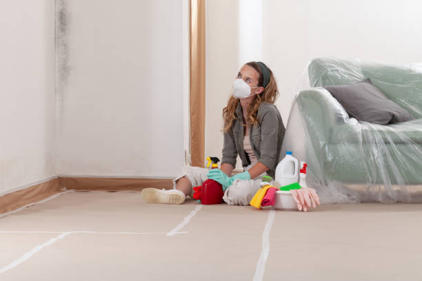 Reliable Mold Remediation contractor in New Hope, OR by Mold Remediation HQ